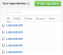 colocvii:colocviu01:github_new_repository.png