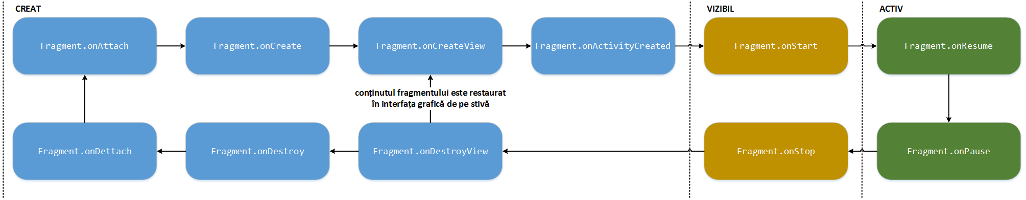 laboratoare:laborator04:ciclul_de_viata_al_unui_fragment.png